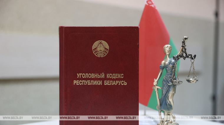Ущерб на 900 базовых. В Вилейском районе задержали браконьера за незаконную добычу лося