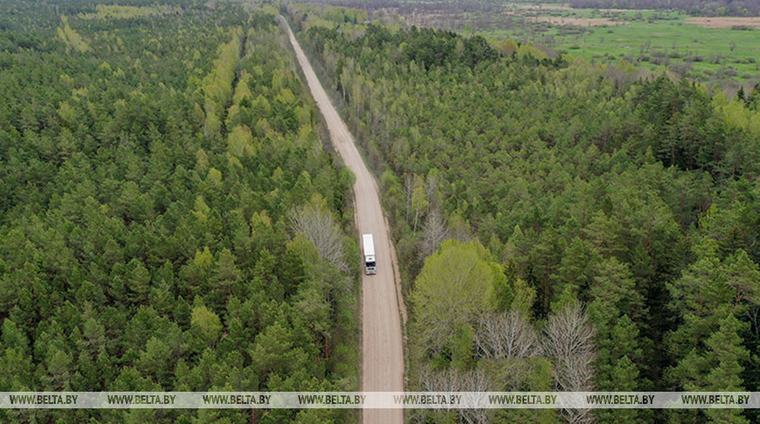 ЕЭК распределила квоты на ввоз мяса в страны ЕАЭС в 2027 году. Сколько получила Беларусь?