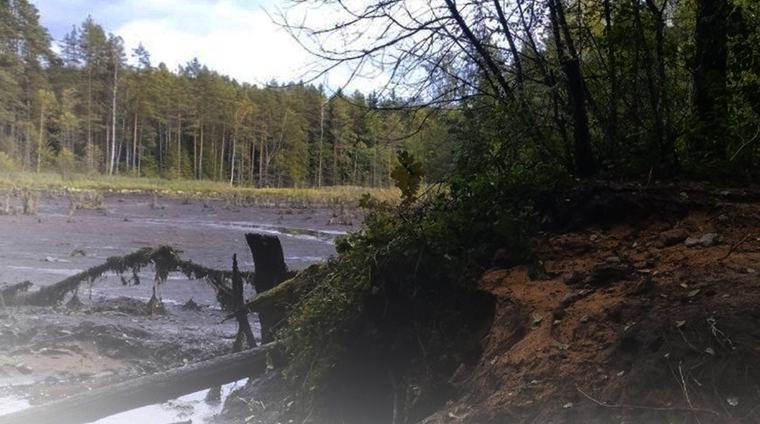 Озеро не исчезло навсегда: Минприроды объяснило обмеление водоема в Логойском районе