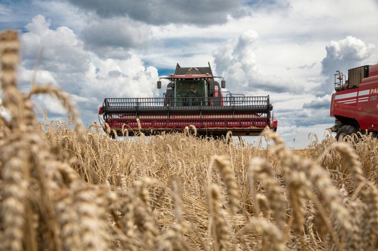 На полях Беларуси аграриям осталось убрать чуть более 1 % зерновых — жатва-2026 на финише