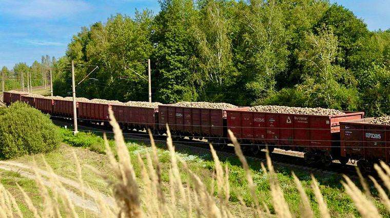БЖД приступила к перевозке нового урожая сахарной свеклы