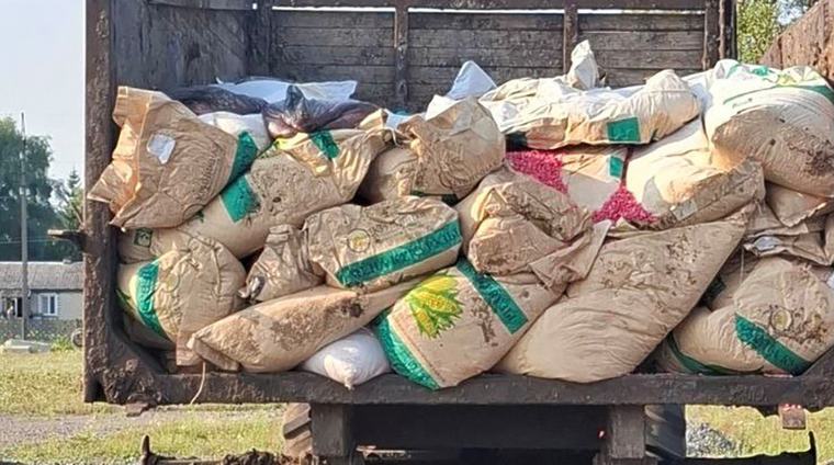 Незаконно списали 5 тонн семян кукурузы. КГК выявил нарушение в хозяйстве Петриковского района