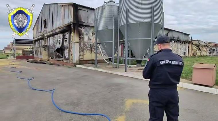 Следователи выясняют причину пожара в птичнике в Шкловском районе