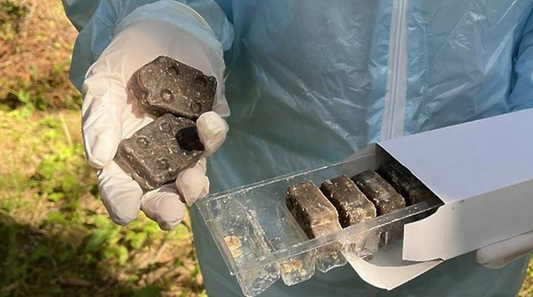 Минсельхозпрод начинает осеннюю кампанию по вакцинации диких животных от бешенства