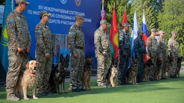 Кинологи стран СНГ соревновались в Казахстане: белорусская команда завоевала серебро