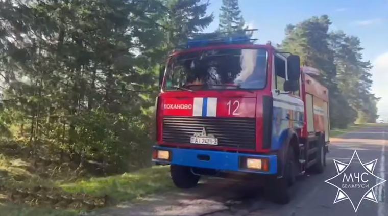За сутки в Витебской области спасатели нашли четверых потерявшихся грибников