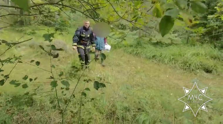 Спасатели нашли двух потерявшихся в лесах Витебской области грибников